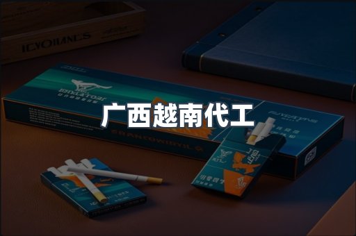 广西越南代工